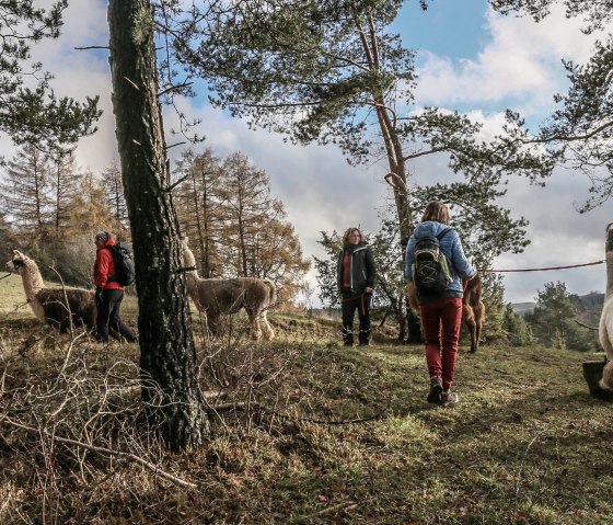 Lamawanderung (3), &copy; eifelnomaden, J. Baums