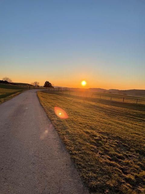 Ein ruhiger Weg führt durch eine grüne Landschaft bei Sonnenuntergang. Die Sonne leuchtet am Horizont und sorgt für eine warme Atmosphäre.