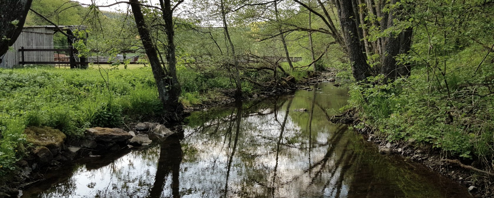 Weinsheim, © TI Prümer Land