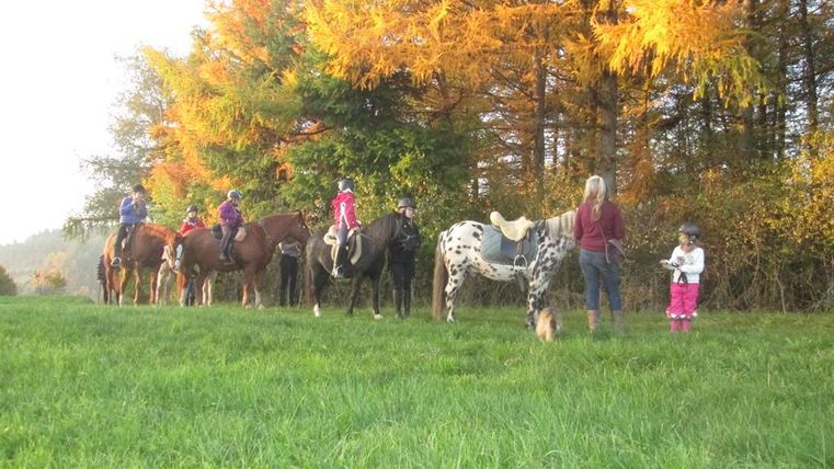 Eine Gruppe von Reitern auf Pferden steht auf einer Wiese. Im Hintergrund sind bunte Bäume zu sehen.