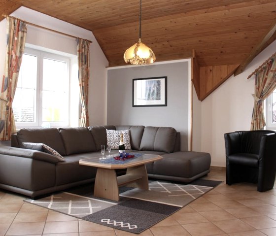 Living room (4-bed apartment)