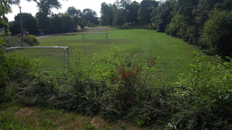 Ein grünes Fußballfeld umgeben von Bäumen und Sträuchern. Der Himmel ist bewölkt und es scheint ein ruhiger Ort zu sein.