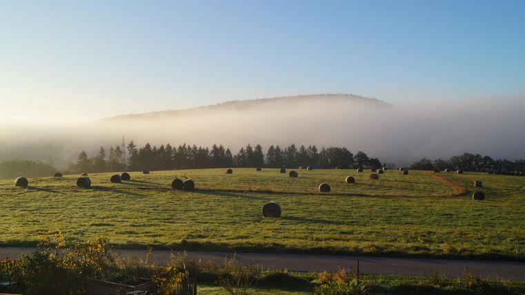 Eine weite Wiese mit Heuballen und sanften Hügeln im Hintergrund. Der Himmel ist klar, während Nebel die Landschaft sanft umhüllt.