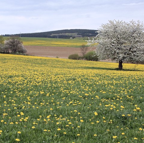 Brandscheid, © TI Prümer Land