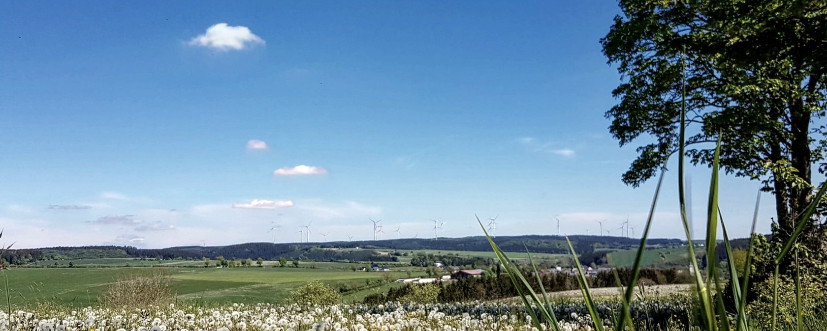 Panorama-Landschaft bei Olzheim, © Tourist-Information Prümer Land/ Sebastian Wiesen