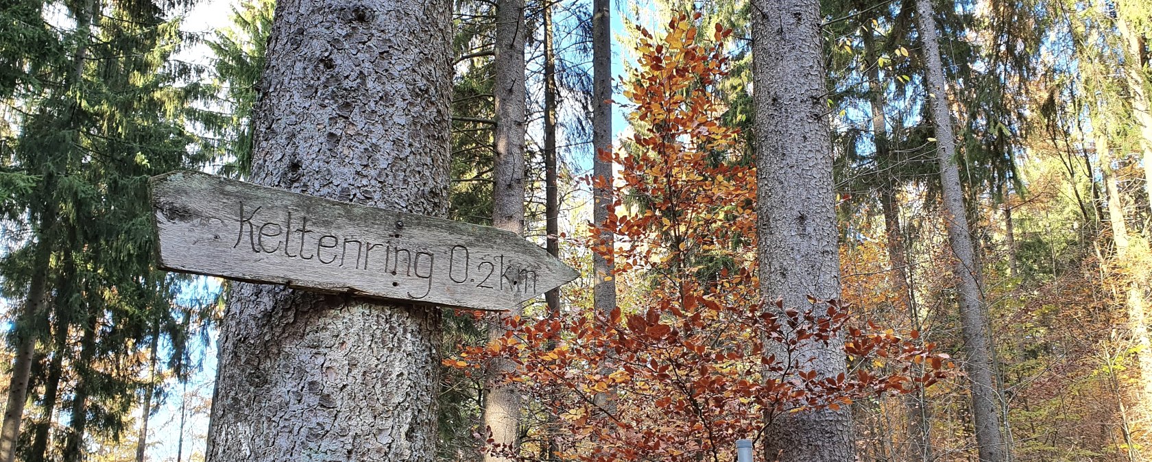 Prüm Tettenbusch, © Tourist-Information Prümer Land