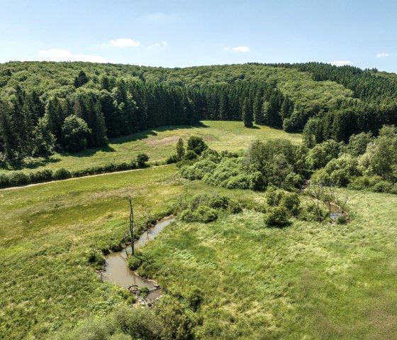 Alfbachtal, &copy; Eifel Tourismus GmbH, D. Ketz