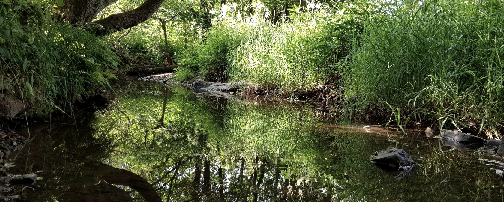 Mehlenbach , &copy; Sebastian Wiesen