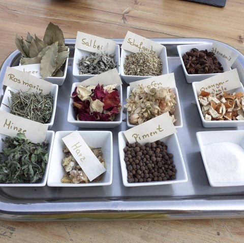 Die Wilde M&ouml;hre (3), &copy; R. Heinrichs