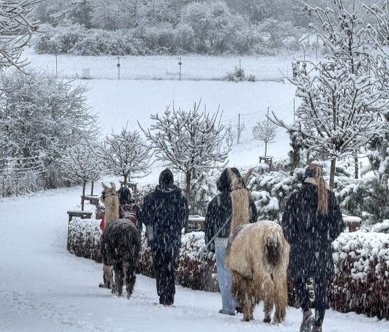 Winterwanderung, &copy; eifelnomaden, J. Baums
