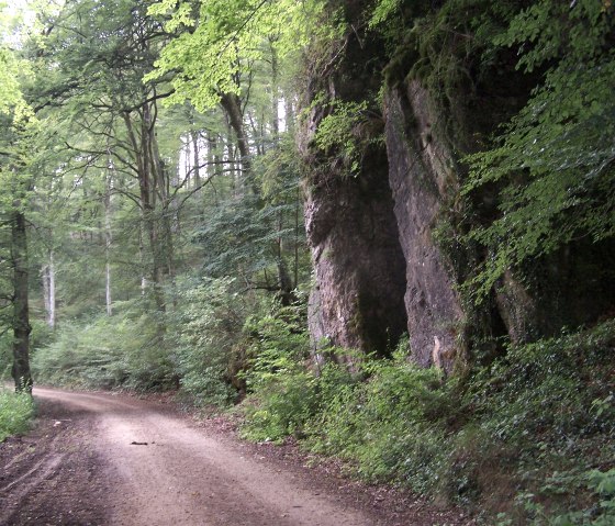 Wandern Sch&ouml;necker Schweizl, &copy; Naturpark Nordeifel Gesch&auml;ftsstelle Pr&uuml;m