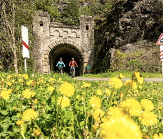 Enz-Radweg, ancien tunnel ferroviaire pr&egrave;s de Neuerburg, &copy; Eifel Tourismus GmbH, Dominik Ketz