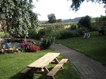 Tuin