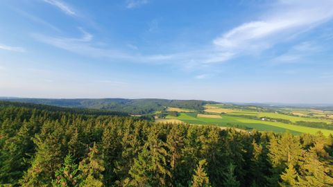 Eine weite Landschaft mit grünen Wäldern und sanften Hügeln. Der Himmel ist klar und blau.