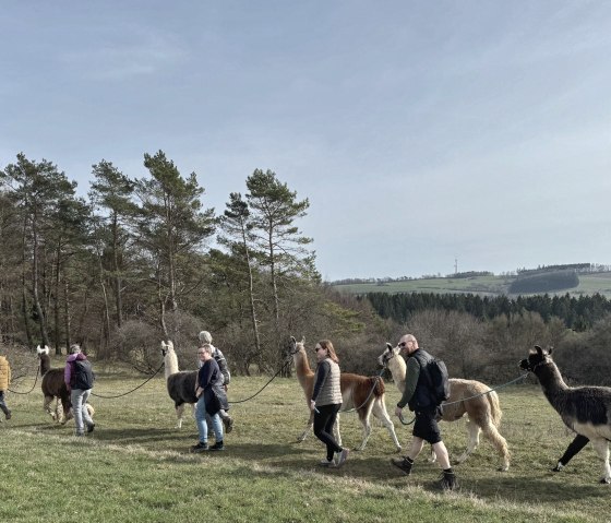 Lamawanderung (2), &copy; eifelnomaden, J. Baums