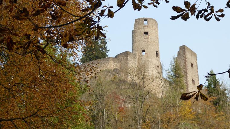 Eine alte Burgruine umgeben von buntem Laub. Die Türme ragen majestätisch in den Himmel.
