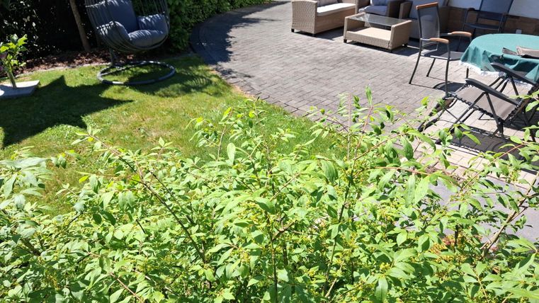 Ein gepflegter Garten mit grünen Sträuchern und einer Sitzgruppe aus bequemen Möbeln. Im Hintergrund ist ein schattiger Bereich mit einem Hängesessel zu sehen.