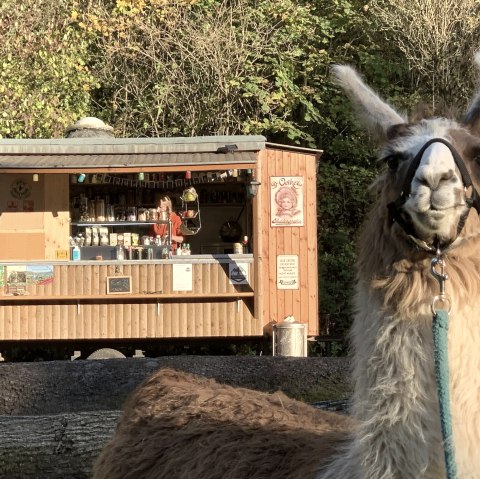 Schlemmen 2, &copy; eifelnomaden, J. Baums