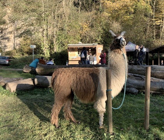 Schlemmen, &copy; eifelnomaden, J. Baums