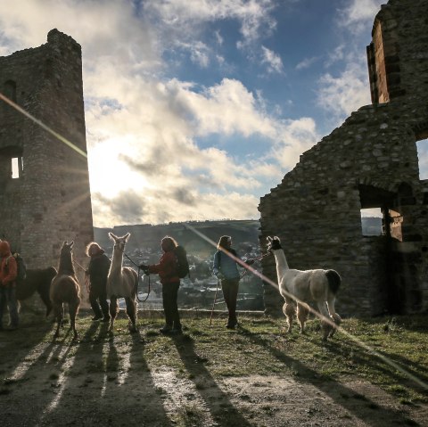 Betriebsausflug 2, &copy; eifelnomaden, J. Baums