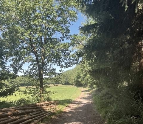 Grenzgänger-Geschichten