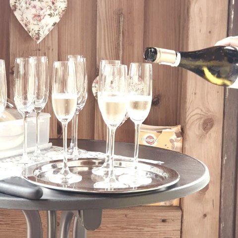 Empfang, &copy; Wein mit Aussicht