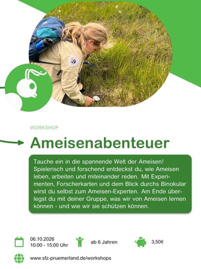 A workshop about ant adventures for children.
Participants playfully discover the world of ants and learn how to protect them.