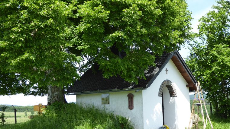 Une petite chapelle peinte en blanc se trouve sous un grand arbre. L'environnement est vert et paisible.