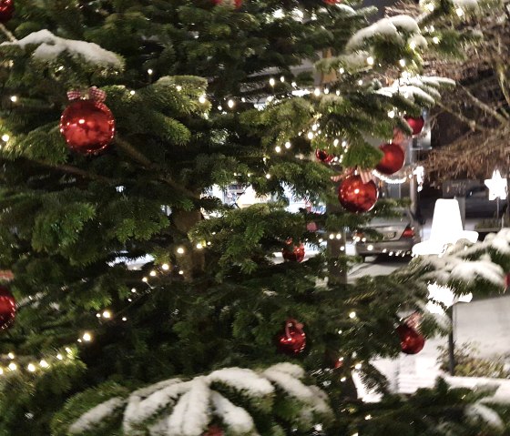 Weihnachtsbaum, © TI Prümer Land