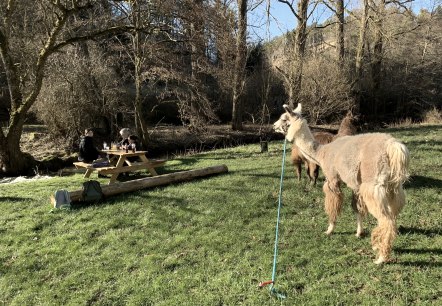 Eifelnomaden Rastplatz Nice Corner, © Eifelnomaden, Julietta Baums