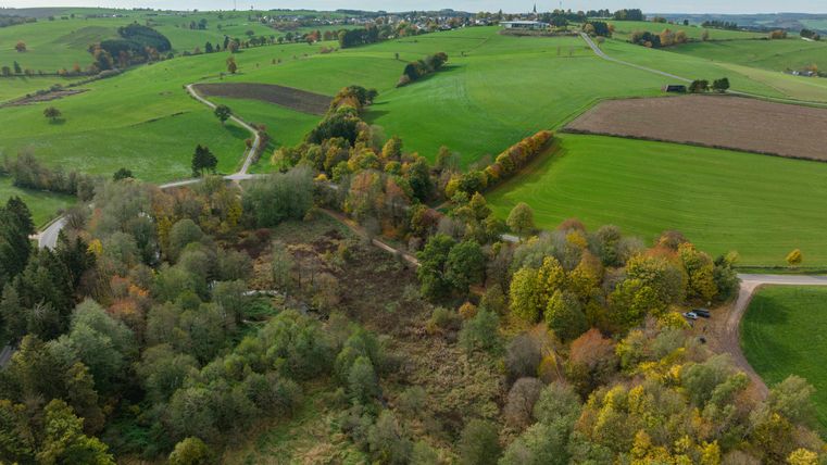Eine herbstliche Luftaufnahme von Feldern, Wiesen, Bäumen, Straßen und einem Dorf im Hintergrund
