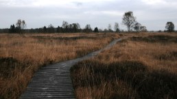 Herbst Morgen, © Monschau Touristik GmbH - Heike Becker