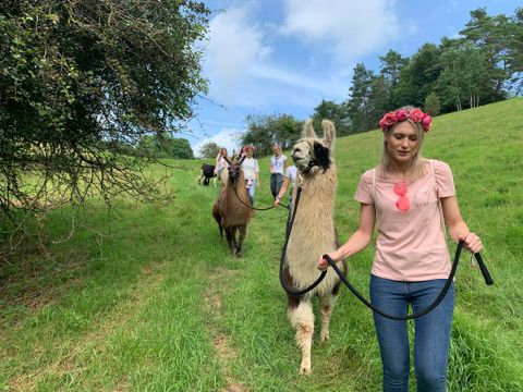 Eine Gruppe von Menschen entspannt auf einer Wiese, während sie zwei Lamas füttern. Die Umgebung ist grün und von Bäumen umgeben.