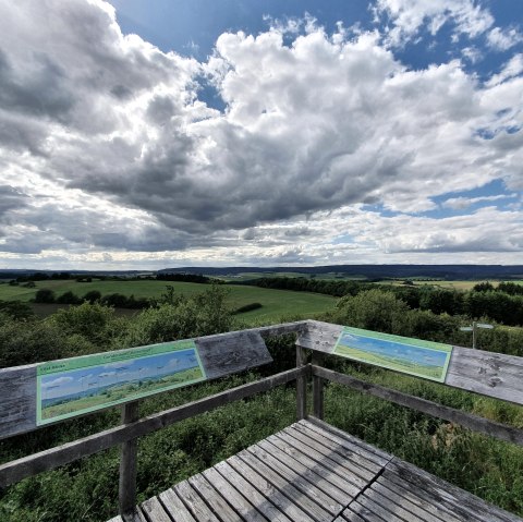 Katzenkopf Eifel Blick, © Tourist-Information Prümer Land/Sebastian Wiesen