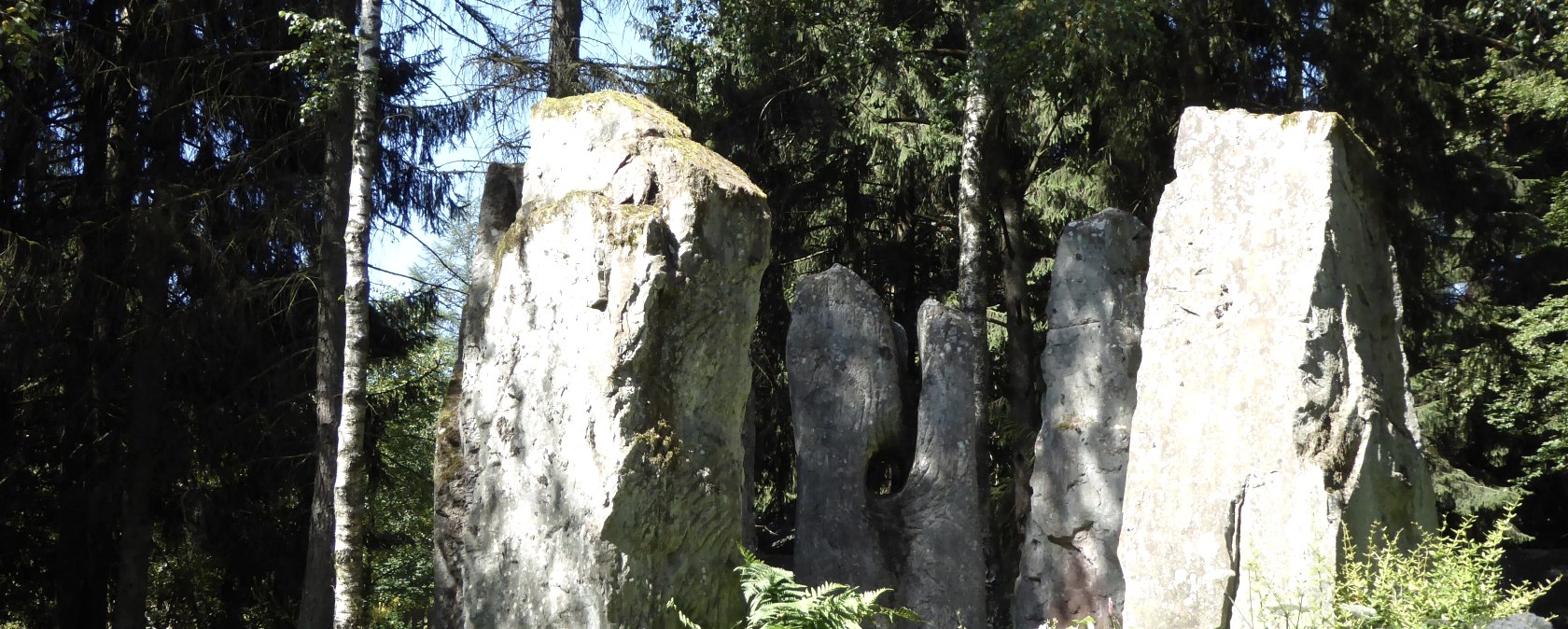 Wei&szlig;enseifen, &copy; TI Pr&uuml;mer Land