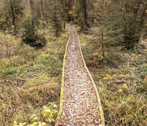 Moore-Pfad im Naturpark Nordeifel, &copy; Eifel Tourismus, Dominik Ketz