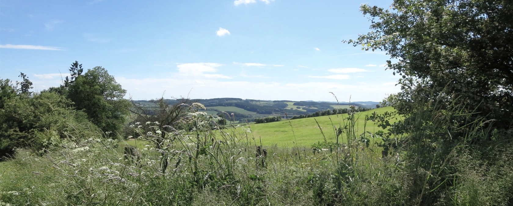 Panoramablick ins Prümer Land, © Tourist-Information Prümer Land