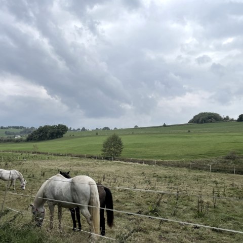 Aussicht nach Brandscheid, &copy; A.Heinen