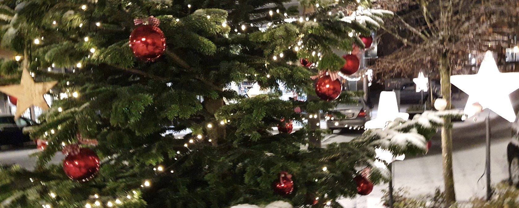 Weihnachtsbaum, © TI Prümer Land