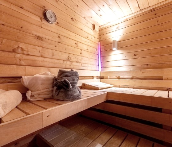 2025_07_16-19_Backhaus_Sauna_Interior_Nacht_3