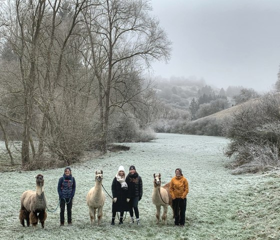 Winter 2, &copy; eifelnomaden, J. Baums