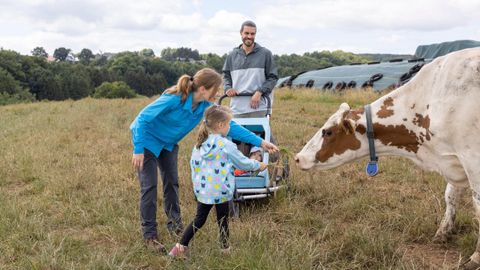 Family, mother father child on a meadow together with a cow