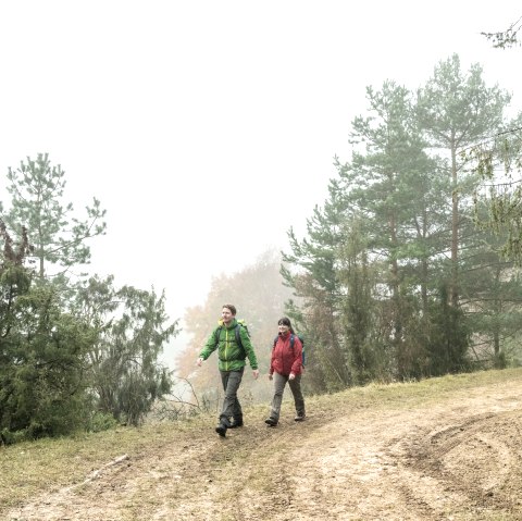 Onderweg in Schönecker Zwitserland, © Eifel Tourismus GmbH, Dominik Ketz