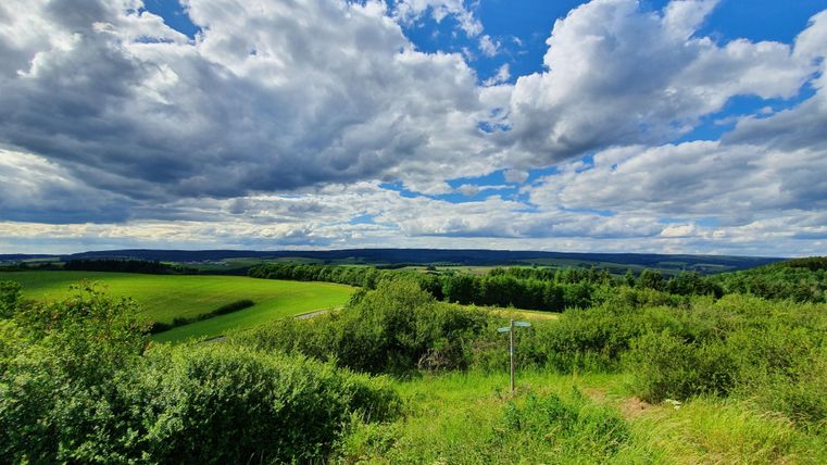 Eine schöne Landschaft mit üppigen grünen Wiesen und Wolken am Himmel. Der Blick reicht bis zu den Bergen in der Ferne.