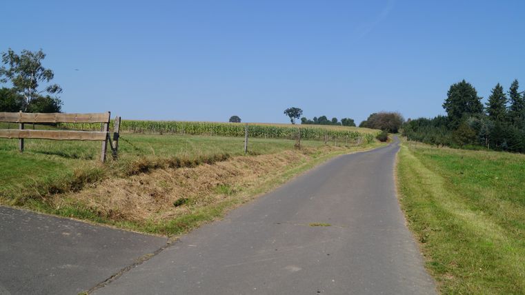 Ein ruhiger Weg durch eine grüne Landschaft mit Feldern und Bäumen. Der Himmel ist klar und blau, ideal für einen Ausflug in die Natur.