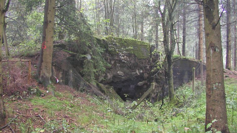 Eine geheimnisvolle Höhle im Wald, umgeben von hohen Bäumen und dichtem Grün. Moos bedeckt den Eingang und die Umgebung wirkt ruhig und unberührt.