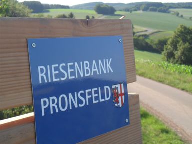 Eine Aussicht von einem Aussichtsturm auf eine weitläufige grüne Landschaft. Im Vordergrund ist ein Informationsschild zu sehen.