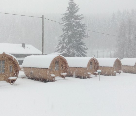Fass_Winter