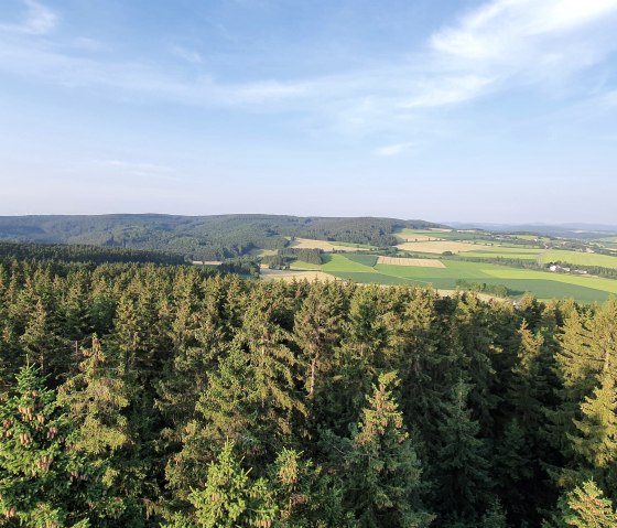 Eifel-Blick Weinsheim, &copy; S. Wiesen