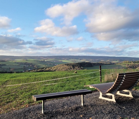 Bench at Wandweg 8 near Pr&uuml;m, &copy; Tourist-Information Pr&uuml;mer Land Sebastian Wiesen